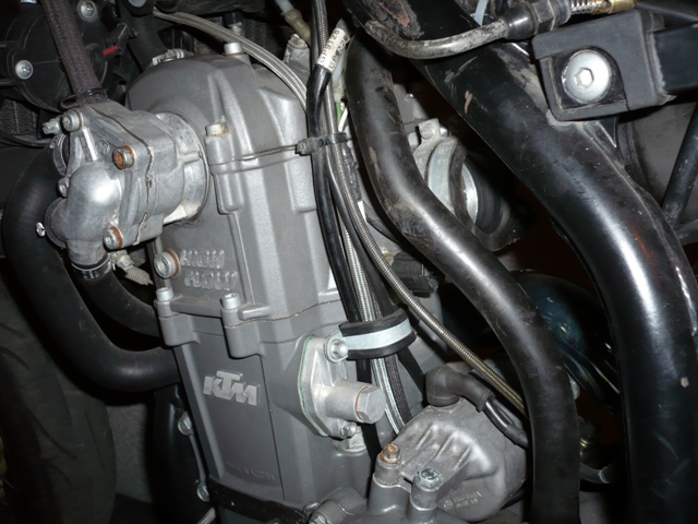 P1010857.JPG